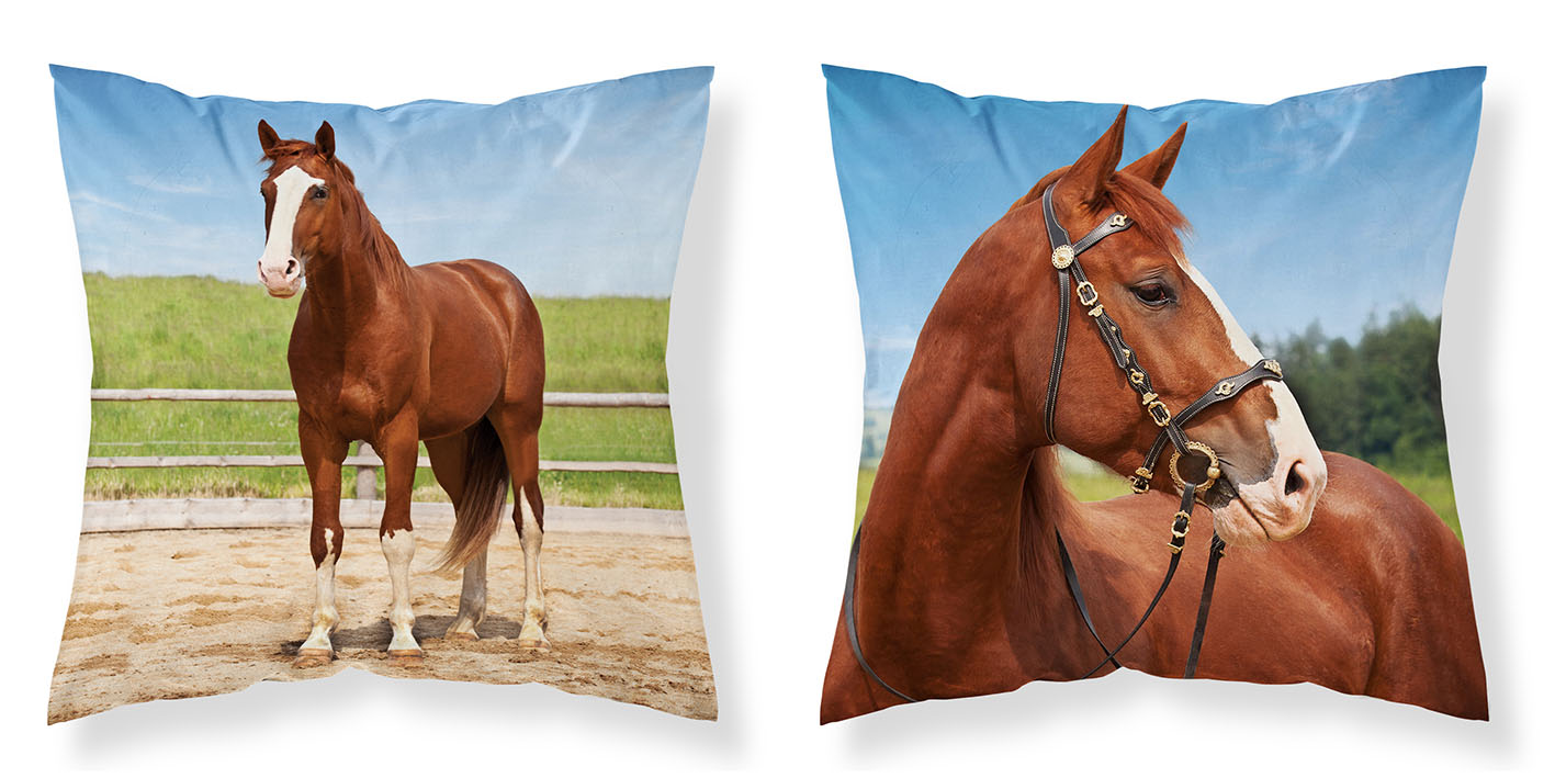 Poszewka 40x40 dekoracyjna MF003 koń wybieg